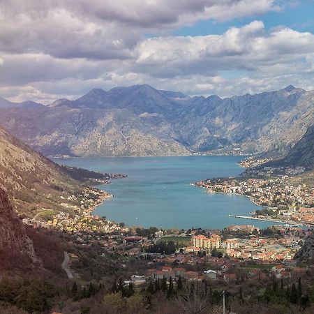The Nest - Urban Family Place Kotor Zewnętrze zdjęcie