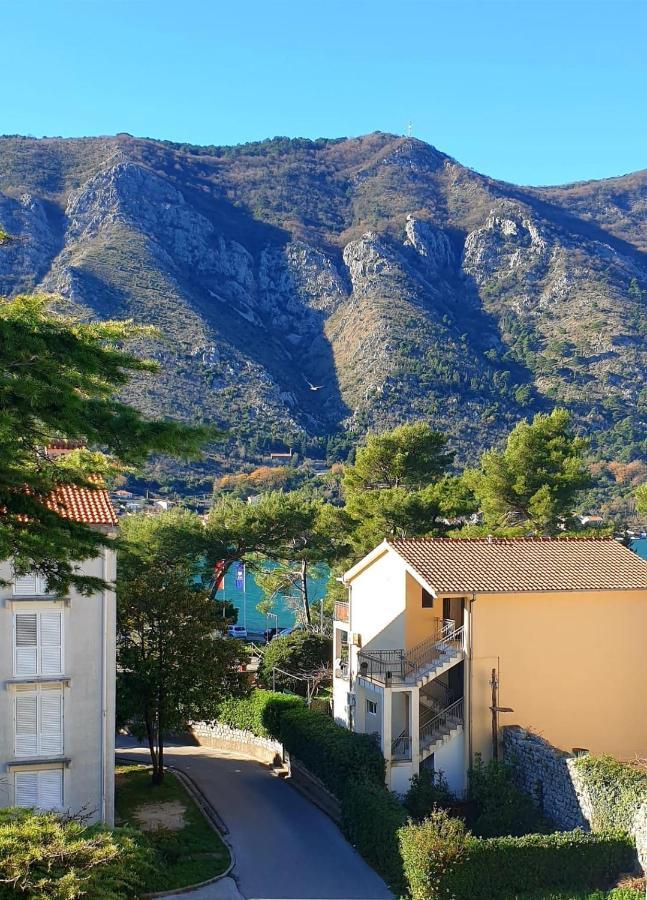 The Nest - Urban Family Place Kotor Zewnętrze zdjęcie