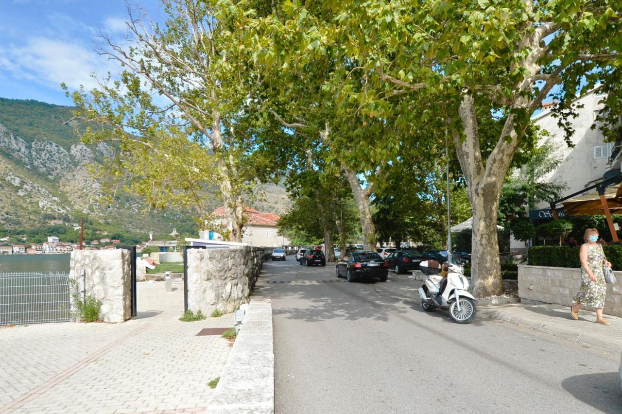 The Nest - Urban Family Place Kotor Zewnętrze zdjęcie